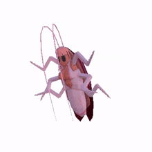 dancing cockroach matarakan kancraft vshojo