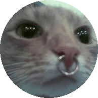Cat Cute Sticker - Cat Cute Nose Ring Stickers