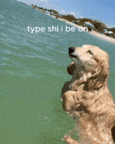 Type Shit I Be On GIF - Type Shit Type Shi I Be On GIFs