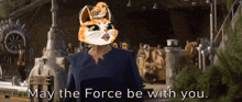 Mars Cats Voyage May The Force Be With You GIF - Mars Cats Voyage May The Force Be With You Cat GIFs