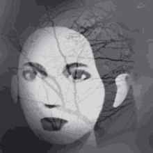 a black and white photo of a woman 's face with a tree branch behind it .
