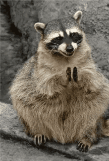 Excellent Clapping GIF - Excellent Clapping Hands GIFs