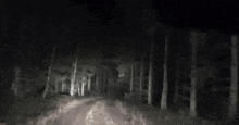 a person is walking through a dark forest at night with a flashlight in their hand .