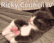Ricky Council Iv Sixers GIF - Ricky Council Iv Sixers Iv GIFs
