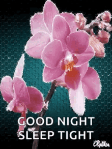 Goodnight Good Nite GIF - Goodnight Good Nite Sleep Tight GIFs