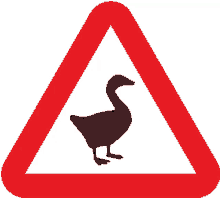 beware goose