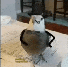 a pigeon wearing a top hat and bow tie