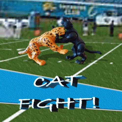 Carolina Panthers Jacksonville Jaguars GIF - Carolina Panthers Jacksonville  Jaguars Carolina - Discover & Share GIFs