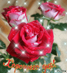 a greeting card with red roses and the words хорошего дня written in russian