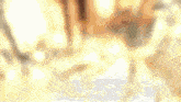 a blurred image with the word captivity visible in the corner