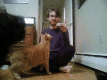 Funny Animals Meow GIF - Funny Animals Meow Eating Time GIFs