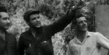 a black and white photo of three men standing next to each other in a forest .