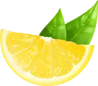 a slice of lemon with two green leaves next to it