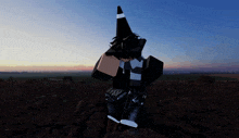 a person with a cone on their head stands in a field