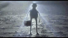 a frog with long legs is holding a briefcase and standing in the dark .