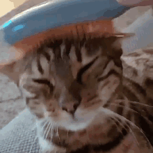 GIF