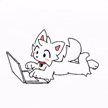 a white cat is laying on its stomach using a laptop computer .