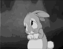 Sorry Sad Bunny GIF - Sorry Sad Bunny Crying GIFs