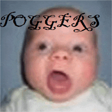Pogpoggers1234ligma GIF - Pogpoggers1234ligma GIFs