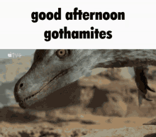 Good Afternoon Gothamites Prehistoric Planet GIF - Good Afternoon Gothamites Prehistoric Planet GIFs