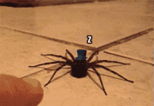 Nope Classy GIF - Nope Classy Spider GIFs