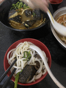a bowl of noodles next to a bowl of soup with a spoon in it