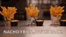 Nacho Fries GIF - Nacho Fries GIFs
