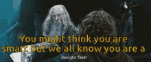 Lord Of The Rings Fool GIF - Lord Of The Rings Fool Took GIFs