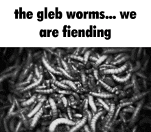 Gleb Worms GIF - Gleb Worms Fiending GIFs