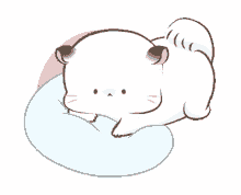 d%E1%BB%97i cat cute pillow head on the pillow