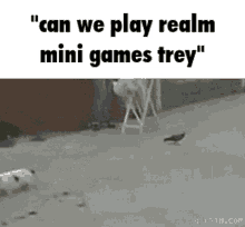 mog trey noah minecraft realm