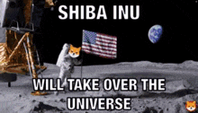 Shiba Inu GIF - Shiba Inu Shiba GIFs