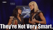 wwe michelle mccool not smart theyre not very smart theyre dumb