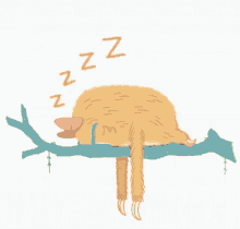 Slothalida Sleep GIF - Slothalida Sleep Zzz GIFs