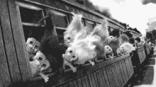 Troll Train GIF - Troll Train Ride GIFs