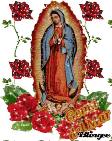 Virgen De Guadalupe La Guadalupana GIF