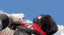 a person is holding a stuffed animal with a red collar on it .