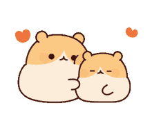 cute adorable love animals hamster