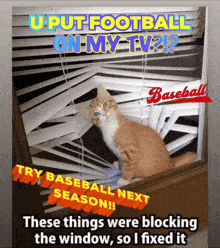 a cat is looking out of a window with the words " u put football on my tv ? "