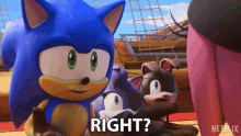 Right Sonic The Hedgehog GIF - Right Sonic The Hedgehog Sonic Prime GIFs