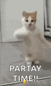 a cat is standing on its hind legs with its paws up and says `` party time ! ''
