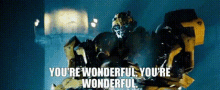 transformers bumblebee youre wonderful you are wonderful youre great