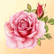 O The Rose For U Love GIF - O The Rose For U Love GIFs