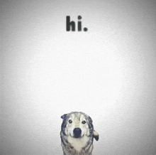 a drawing of a dog with the words hi written above it