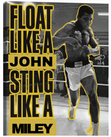 Fly Like A John Float Like A John GIF - Fly Like A John Float Like A John Sting Like A Miley GIFs
