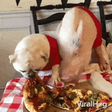 Eating Pizza Together Dog GIF - Eating Pizza Together Dog Pig GIFs