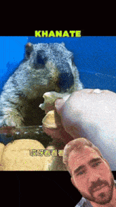 a picture of a squirrel and a man with the word khanate on the top