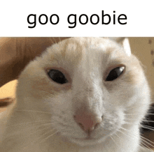 Goo Goobie GIF