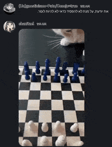 a screenshot of a cat playing a game of chess on a black background