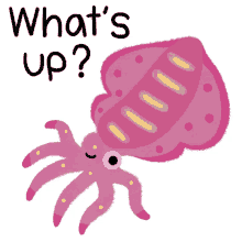 whats up hey sup how you doing cephalopod